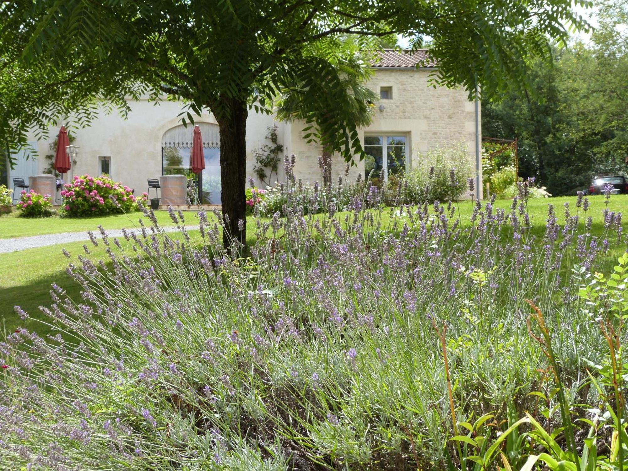 Le Logis De La Brumanderie - Saintes Fontcouverte  Eksteriør billede